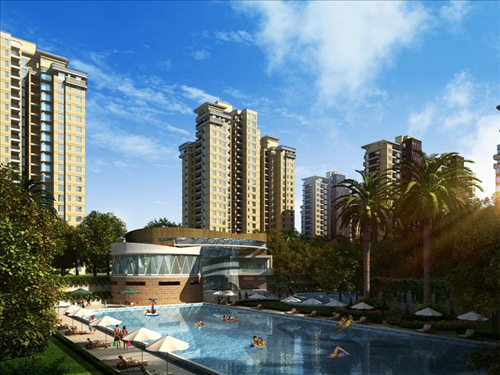 海南海景房生紙的原因分析！3
